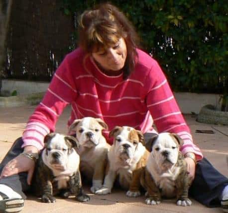 Ours Bulldogs , breeder family´s