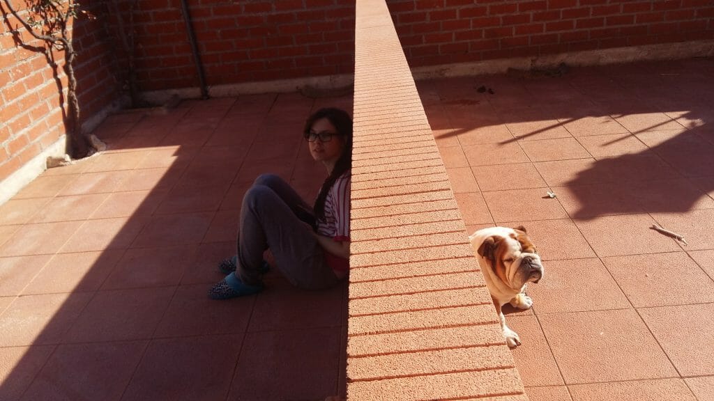 curiosa foto Bulldog
