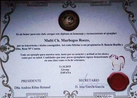 Titulo Bulldog