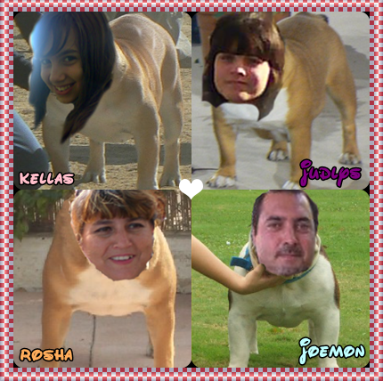 familia sharonbull