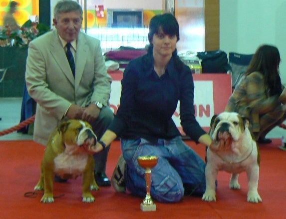 mejor pareja PORTUGAL Bulldog