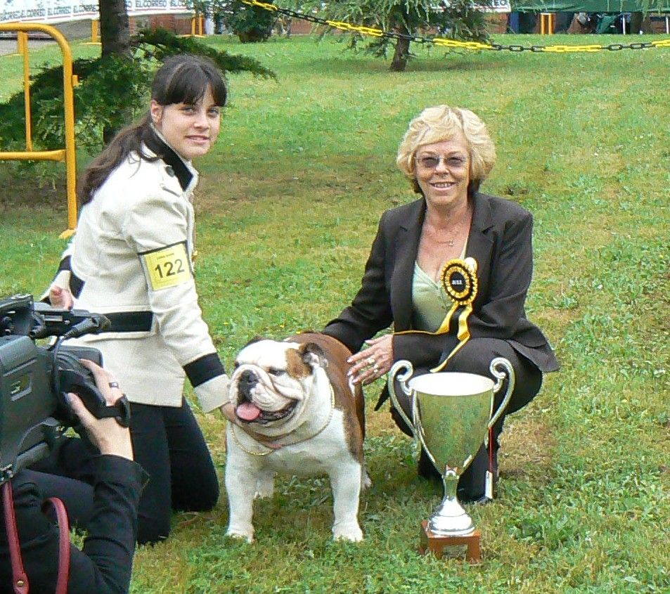 Ch Murbogos Rocco, Bulldog sharonbull