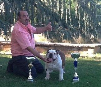 ganador veteranos Bulldog