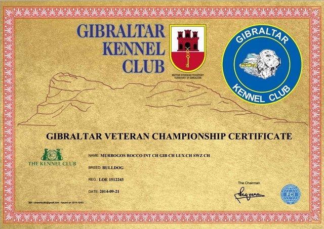 Titulo Bulldog Club