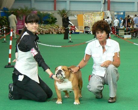 Bulldog Inglés sharonbull CH Bulldesharonbull at aquarius with candevico Gibraltar