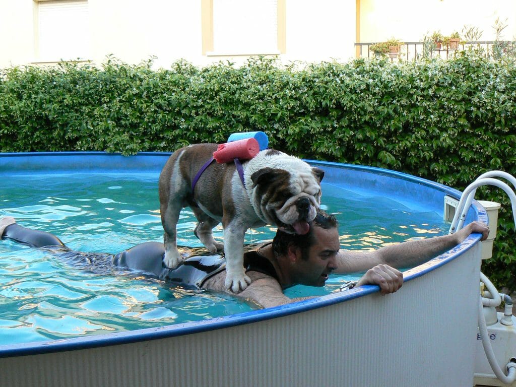 Ramon piscina Bulldog