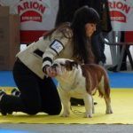 Ch Murbogos Rocco , CEBI