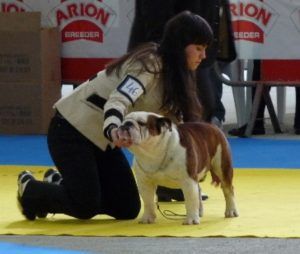 Ch Murbogos Rocco , CEBI
