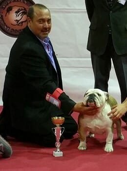 Ramon con Ivory ganadora Bulldog