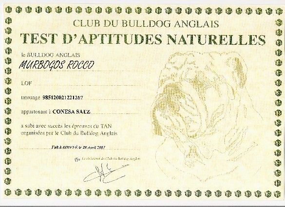 Test Aptitudes BULLDOG en Francia